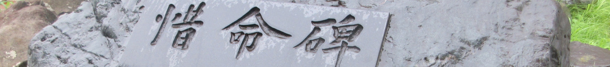  「TUPRep」